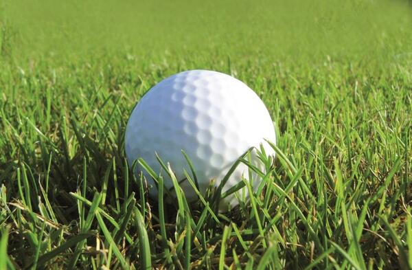 Ein einsamer Golfball liegt im grnen Gras.