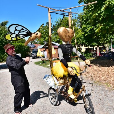 Bild vergrößern: Das Schwandorfer Marionettentheater ist mit einer bergroen Marionette mit goldenem Herzkopf auf einem Fahrrad und einer einer groen goldenen Fliege auf dem Brgerfest unterwegs.